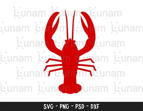 Download Free Crayfish SVG Cut File Easy Edite