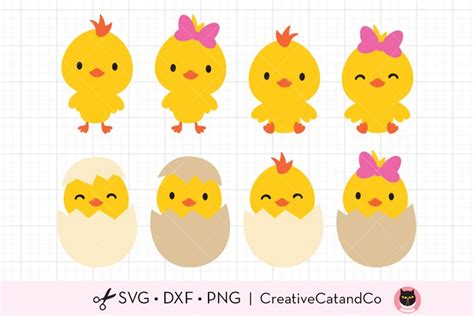 Download Free Cute Easter Chick Bird - SVG File, DXF File Easy Edite