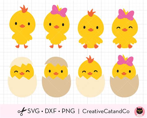 Download Free Cute Easter Chick Bird - SVG File, DXF File Images