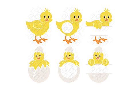 Download Free Cute Easter Chick Bird - SVG File, DXF File for Cricut