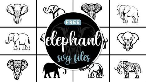 Download Free Cute Elephant pattern Cricut SVG For Crafts