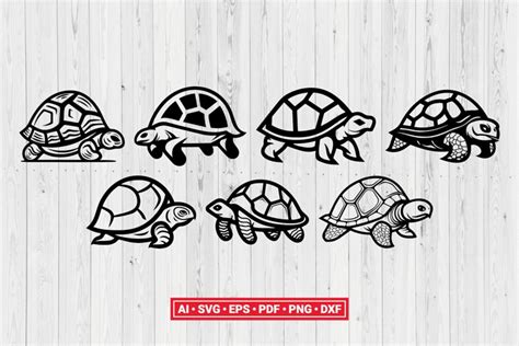 Download Free Cute Tortoise Monogram Frame - Svg Cut File Cricut SVG