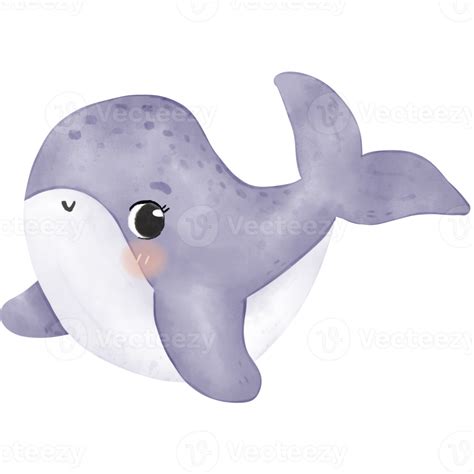 Download Free Cute Whale | SVG | PNG | DXF Printable