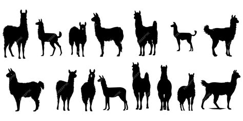 Download Free Cute lama set objects Silhouette