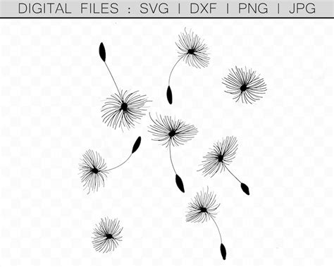 Download Free Dandelion Seeds Digital Papers Files DXF Files