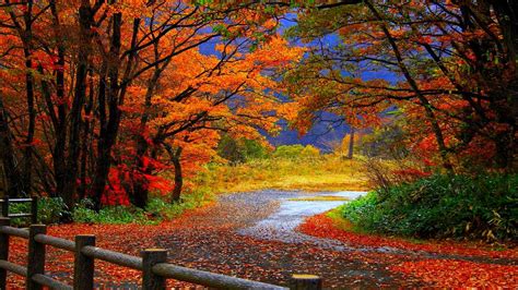 Free Desktop Wallpaper Autumn Scenes