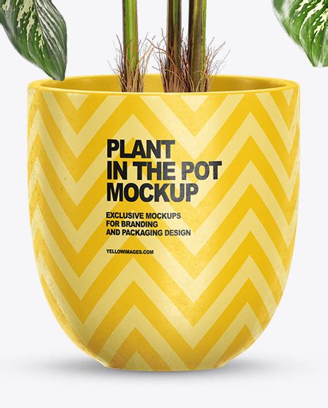 Download Free Dieffenbachia in the Pot Mockup PSD PSD Yellowimages PSD Files