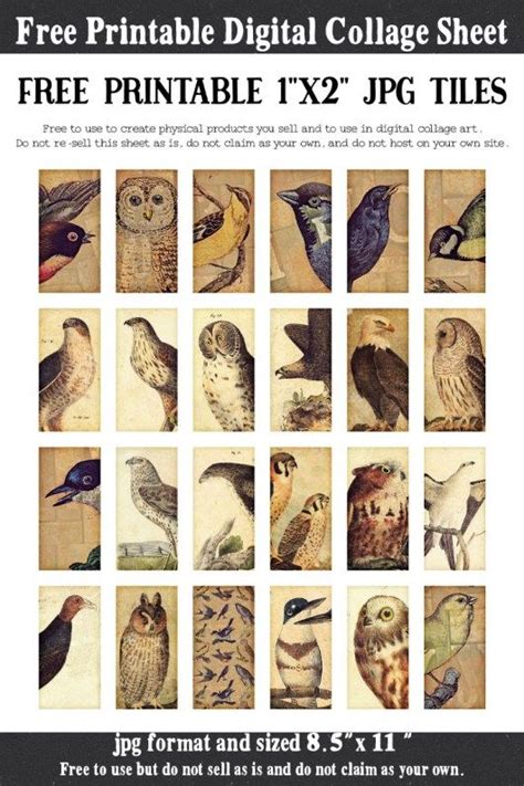 Download Free Digital Collage Sheets,Birds Printable For Crafts