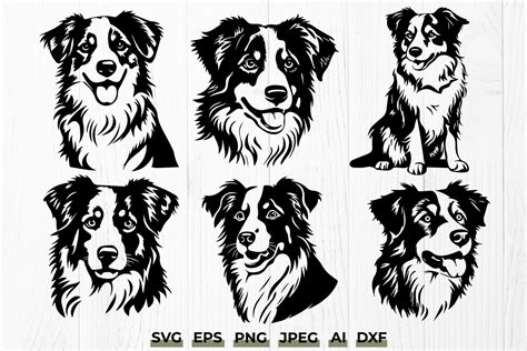 Download Free Dog Australian Shepherd Svg Design Files For Crafts