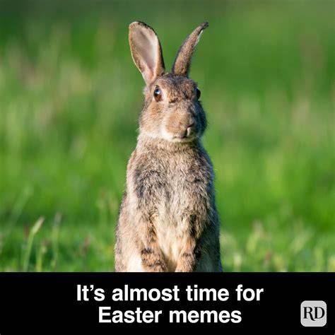 Free Easter Memes