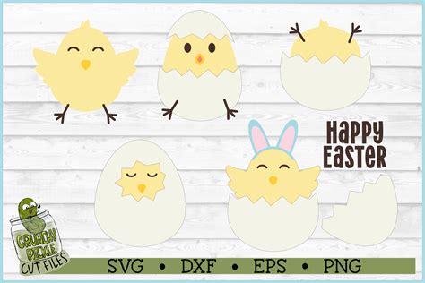 Download Free Easter Set - Chicks Cricut SVG For Crafts