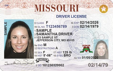Free Editable Blank Missouri Drivers License Template