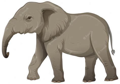 Download Free Elephant Clipart Files Free PSD Mockups