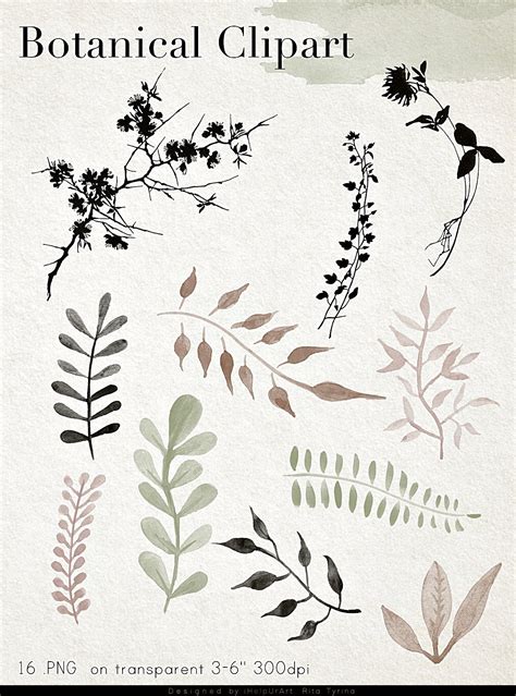 Download Free Elven - Botanical Design Bundle Commercial Use Free PSD Mockups