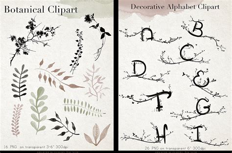 Download Free Elven - Botanical Design Bundle DXF Files