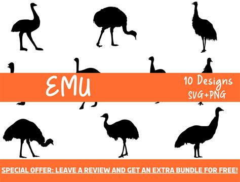 Download Free Emu Svg, Bird Svg Files