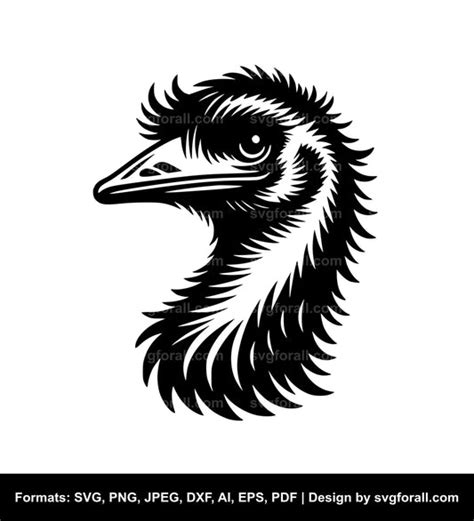 Download Free Emu Svg, Bird Svg Files DXF Files