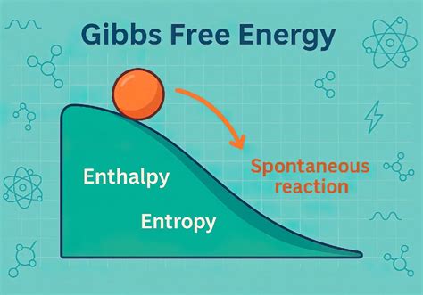 Uncovering the Wonders of Free Energy in Biology: A Comprehensive Definition
