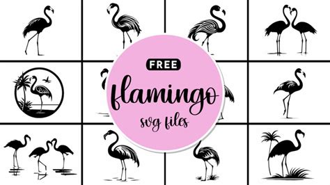 Download Free Fabulous Flamingo SVG Cut File Files Free PSD Mockups