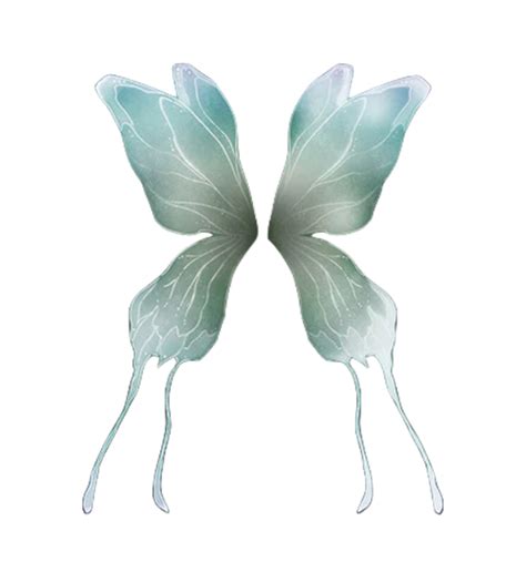 Download Free Fairy Wings | SVG | PNG | DXF DXF Files