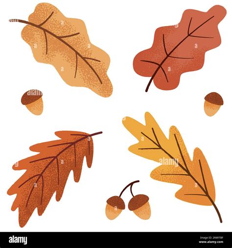 Download Free Fall Leaves and Acorn Set | Applique Embroidery Files