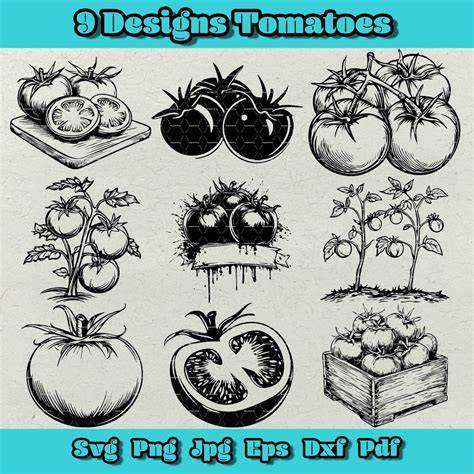 Download Free Farm Fresh Tomato SVG DXF Files
