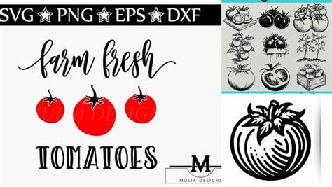 Download Free Farm Fresh Tomato SVG For Crafts