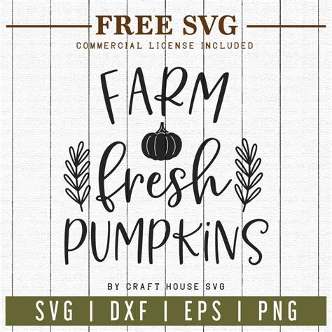 Download Free Farm fresh pumpkins SVG Files