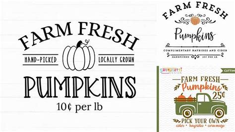 Download Free Farm fresh pumpkins SVG Files For Crafts