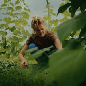 Download Free Farm to Fork Commercial Use