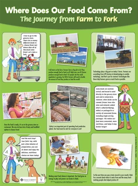 Download Free Farm to Fork Printable