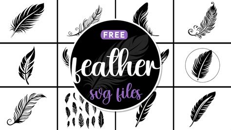 Download Free Feather SVG, Feather DXF, Cuttable File Files