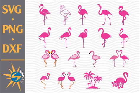 Download Free Flamingo SVG, PNG, DXF Digital Files Include DXF Files