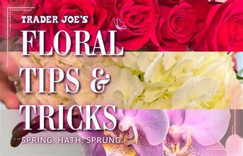 Free Floral Images Tips