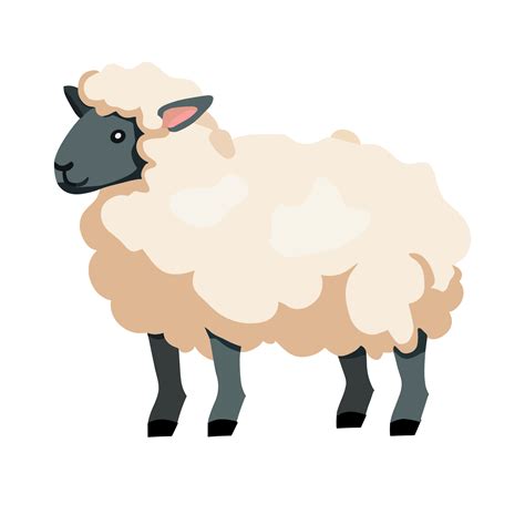Download Free Fluffy Sheep | SVG | PNG | DXF For Cricut