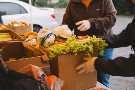Filling Stomachs and Hearts: Free Food Distribution Near Your Community