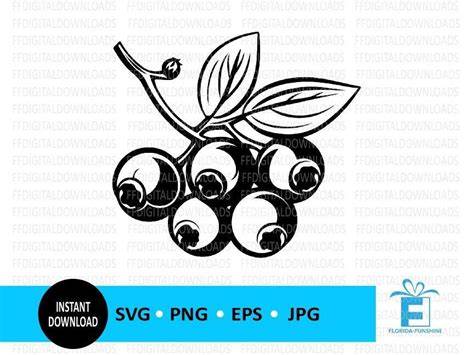 Download Free Fresh Blueberries SVG Cut File - Home Vector Images