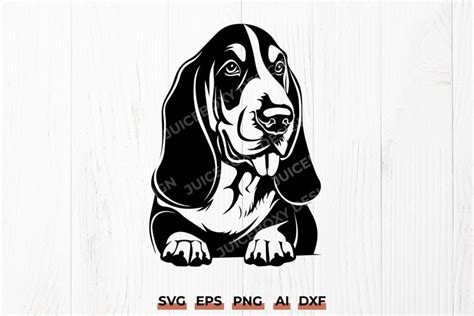 Download Free HARRY THE BASSET HOUND SVG Files DXF Files