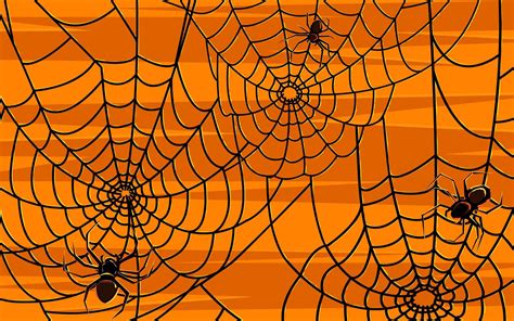 Free Halloween Spider Web Wallpaper