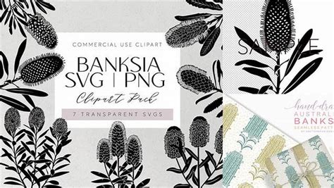 Download Free Hand drawn Australian Banksia Digital Seamless Pattern Set Cut Images