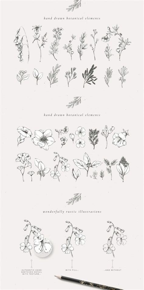 Download Free Hand-Drawn Botanical Monograms Cameo