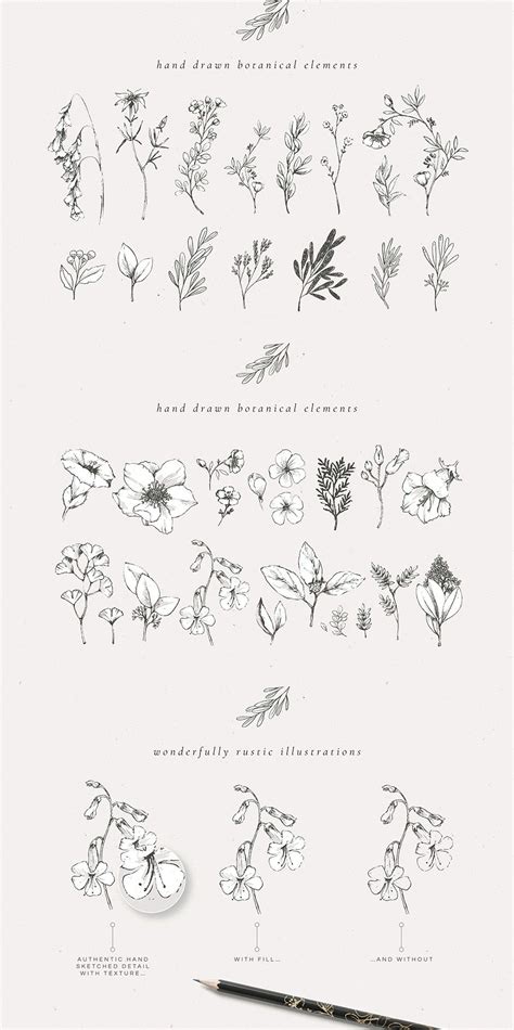 Download Free Hand-Drawn Botanical Monograms Images