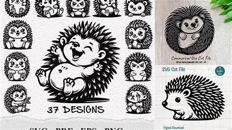 Download Free Hedgehog Illustration SVG Cut File Files For Crafts
