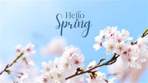 Download Free Hello Spring 1 Images