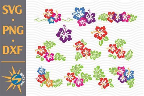 Download Free Hibiscus SVG, PNG, DXF Digital Files Include Commercial Use DXF Files