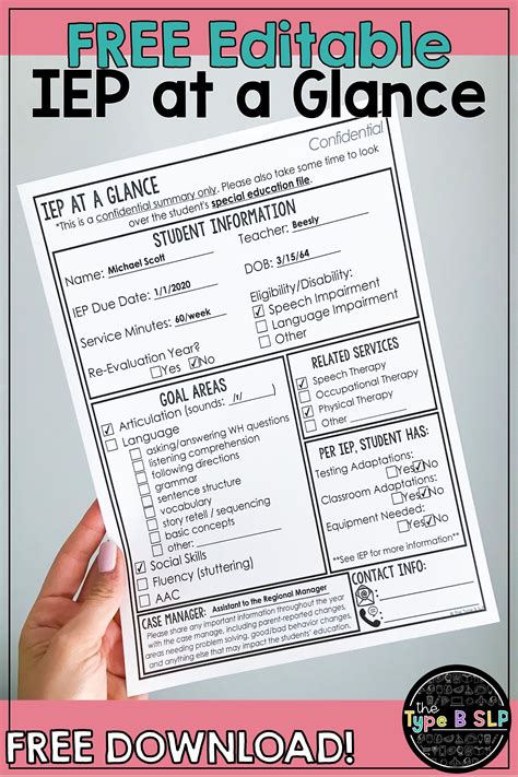 Free Iep At A Glance Template