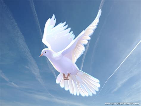 Free Images Of Doves