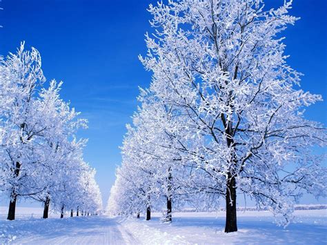 Free Images Snow Scenes