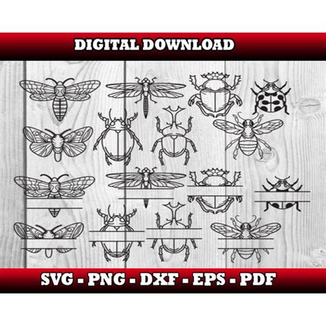 Download Free Insects Silhouettes SVG Bundle Files DXF Files