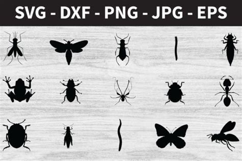 Download Free Insects Silhouettes SVG Bundle for Cricut Machine